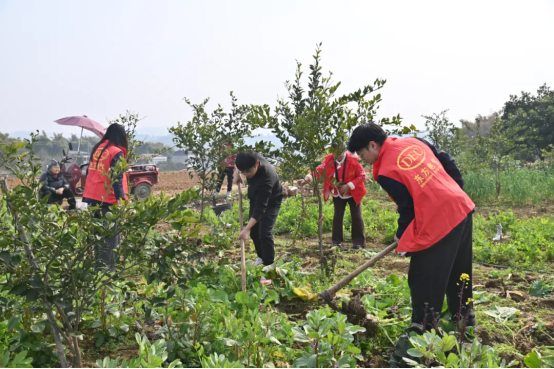 A43BDBF4A3E8F02B56E87FB4CD9_D16AB897_C810E