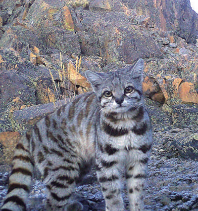 56BC7982E316CE2F7B29A0C32D0_3464CA3D_A730C