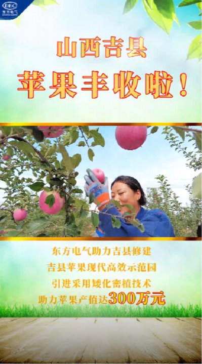 东升国际(中国游)官网 - 首页入口