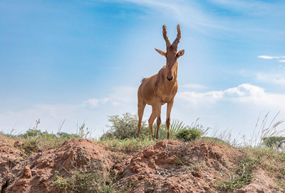 45991D543C9FAD4F42FC7A11AEB_D135434D_6A821