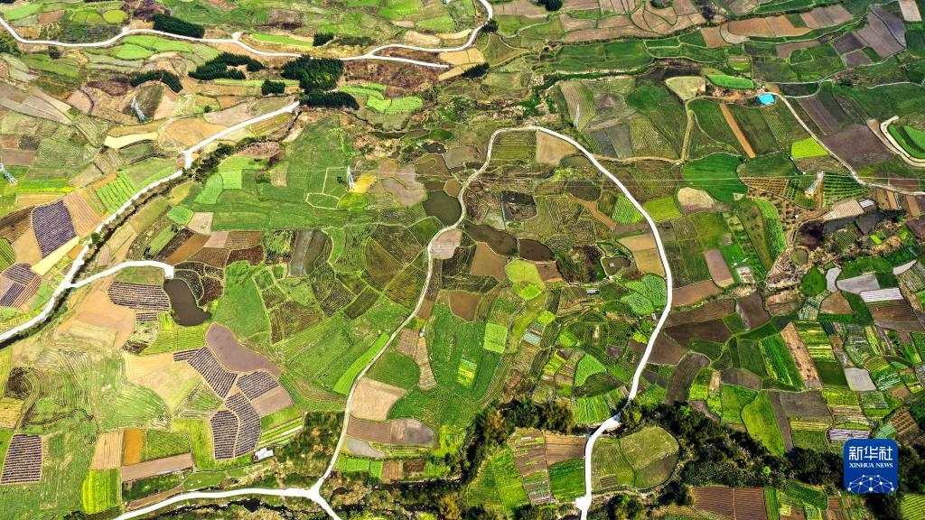 BFE668C1B21FA793AF0C2869068_E4A9D2FD_2D7F6.jpg?e=