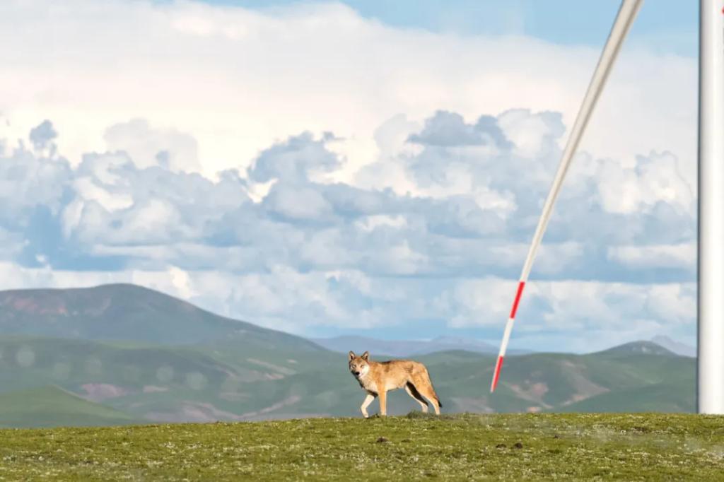 FE2312E66D8E95973A95517A35E_683DC206_D580