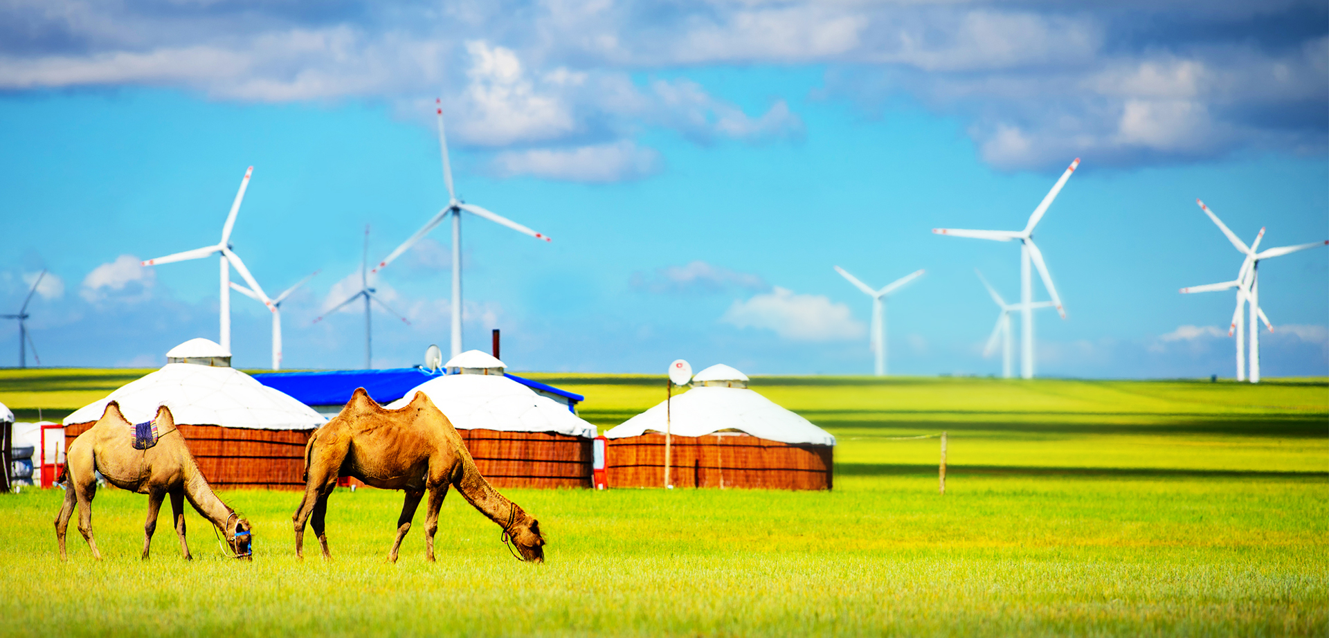 东升国际(中国游)官网 - 首页入口